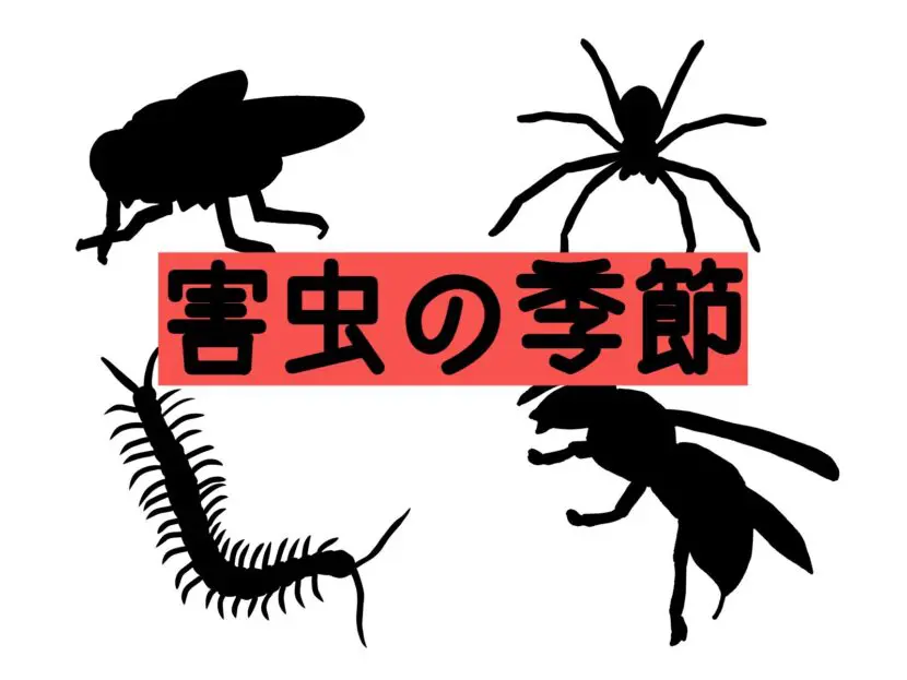 害虫対策できてますか キャンプや登山を脅かす害虫のお話 読むと外で遊びたくなるブログ 外で遊ぼう